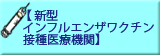 �V�^�C���t���G���U���N�`��